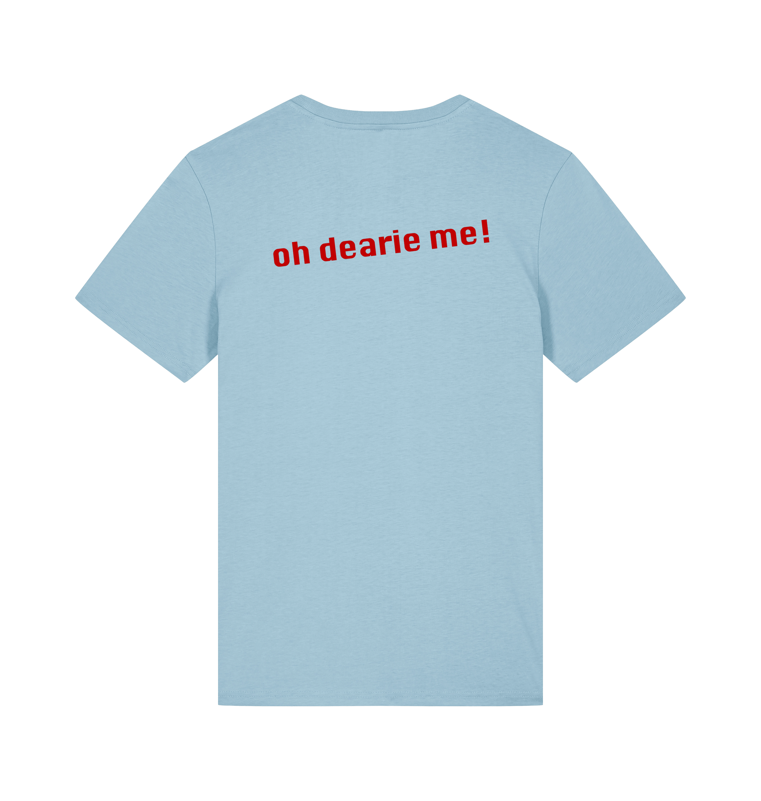 Sky Blue Printed T-shirt Back